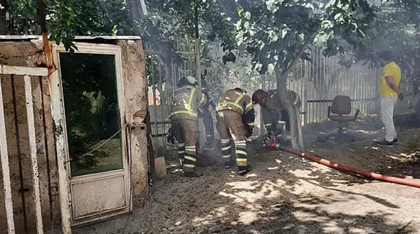 آتش سوزی بوستان های تهران عمدی بود