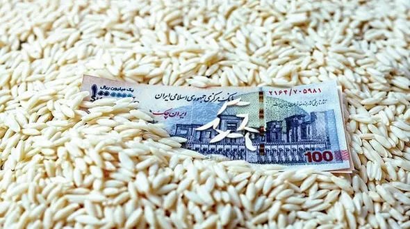دست‌ های پنهان در دیگ برنج / ارز ترجیحی برای مردم یا رانت برای واردکنندگان؟