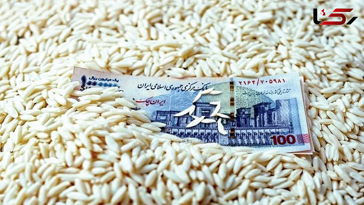 دست‌ های پنهان در دیگ برنج / ارز ترجیحی برای مردم یا رانت برای واردکنندگان؟