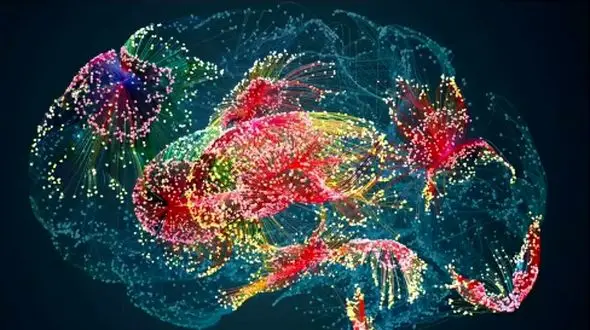 چگونه خاطرات فراموش‌ شده تصمیم‌ های ما را شکل می‌ دهند؟