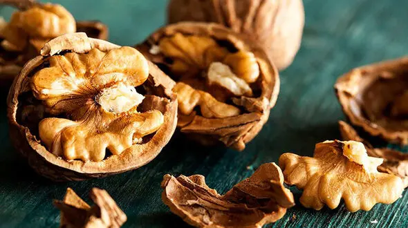 تاثیر گردو بر حافظه و پوست و مو