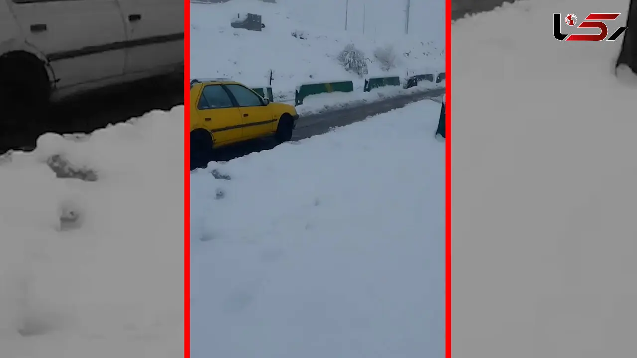 فیلم بارش ۲۰ سانتی متری برف در نورآباد