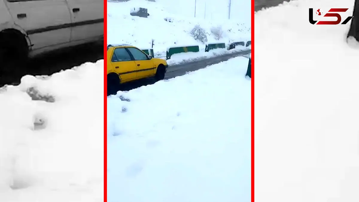 فیلم بارش ۲۰ سانتی متری برف در نورآباد