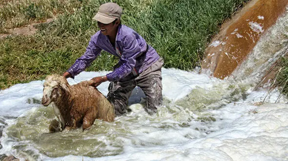 توصیه‌های هواشناسی کشاورزی برای روزهای پایانی تابستان 