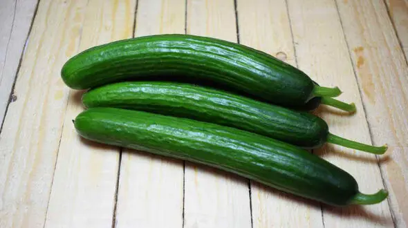 با این خوراکی ها در ایام روزه‌داری تشنه نمی مانید