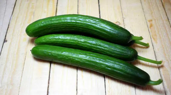 با این خوراکی ها در ایام روزه‌داری تشنه نمی مانید