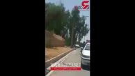محاکمه فوری قاتل امام جمعه کازرون ۱۲ تیر ماه+ فیلم