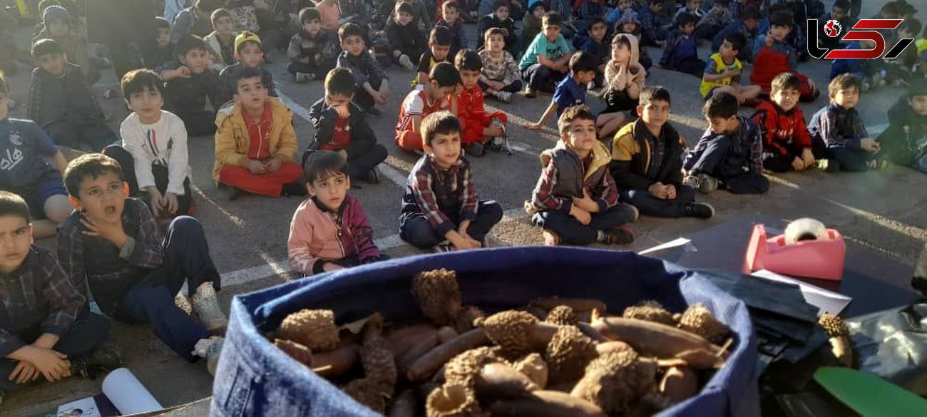 کاشت هزار بذر بلوط و بادام توسط دانش آموزان ایذه / برای نگهداشت محیط زیست + فیلم