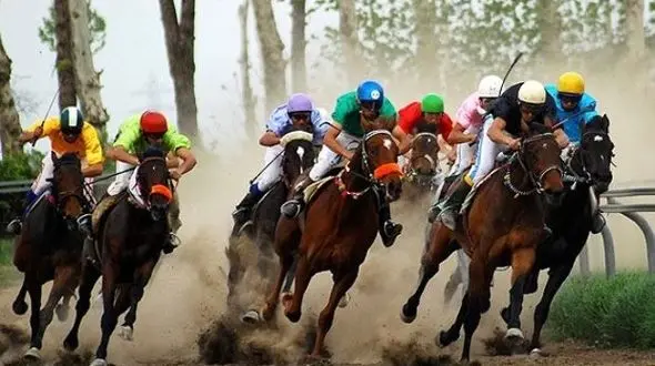 معرفی برترین‌های هفتمین دوره مسابقات سوارکاری استقامت خوزستان