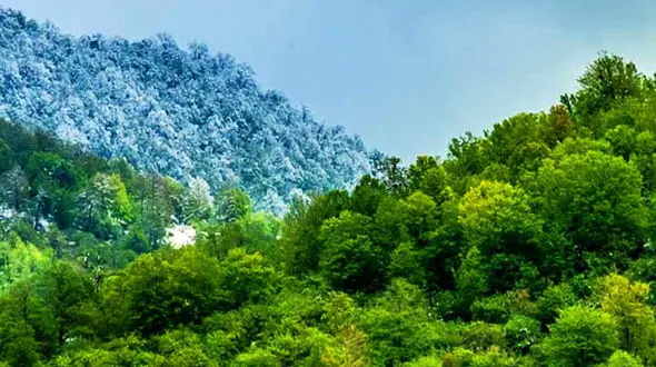 بهشت رویایی چغاخور