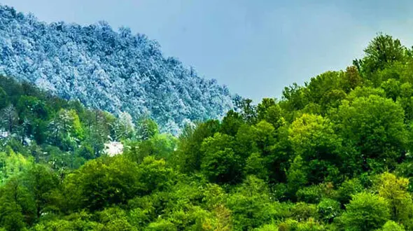 بهشت رویایی چغاخور