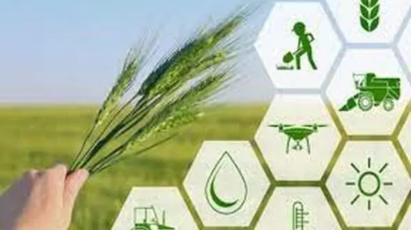 اولین پردیس فناوری کشاورزی کشور در همدان راه‌اندازی شد