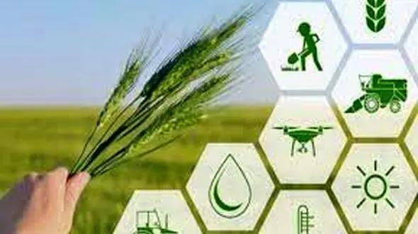 اولین پردیس فناوری کشاورزی کشور در همدان راه‌اندازی شد