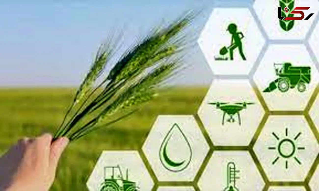 اولین پردیس فناوری کشاورزی کشور در همدان راه‌اندازی شد