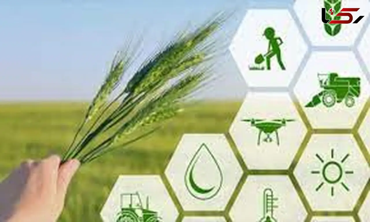 اولین پردیس فناوری کشاورزی کشور در همدان راه‌اندازی شد
