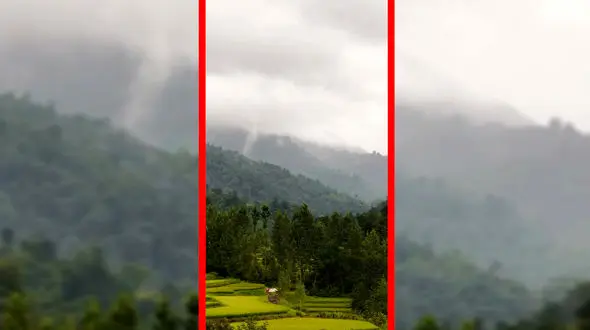 فیلم زیبایی مه در جنگل های مازندران