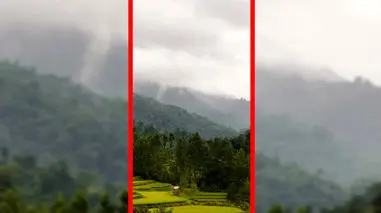 فیلم زیبایی مه در جنگل های مازندران