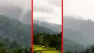فیلم زیبایی مه در جنگل های مازندران
