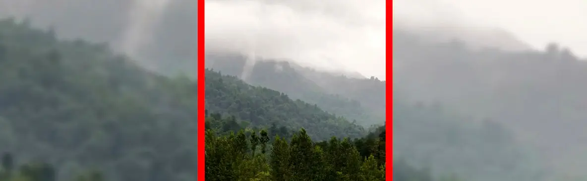 فیلم زیبایی مه در جنگل های مازندران