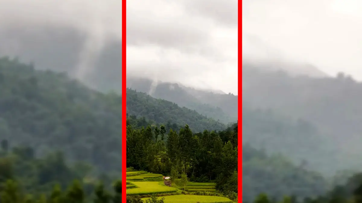 فیلم زیبایی مه در جنگل های مازندران