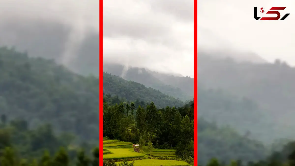 فیلم زیبایی مه در جنگل های مازندران