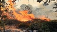 حضور رئیس سازمان جنگل ها در کردکوی / مهار 80 درصدی آتش سوزی جنگل های گلستان