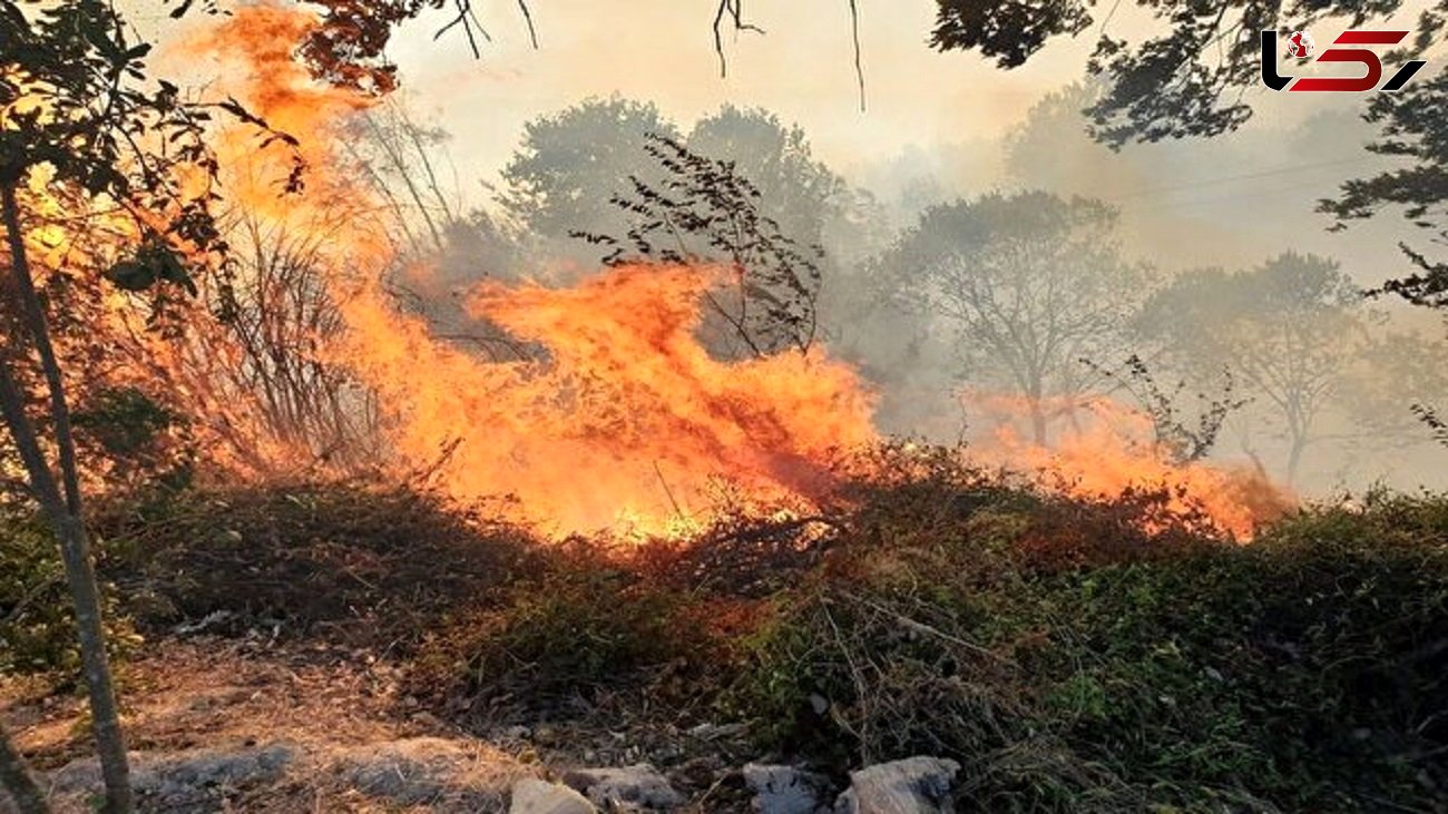 حضور رئیس سازمان جنگل ها در کردکوی / مهار 80 درصدی آتش سوزی جنگل های گلستان