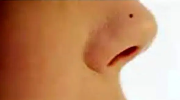 طالع بینی: زنانی که در این طرف بینی خود خال دارند،تمام خانواده را ثروتمند می کنند!