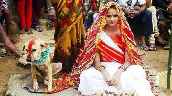 ازدواج با سگ ولگرد برای شکستن طلسم +عکس
