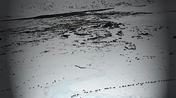 انقراض ششم و آخرالزمان انسان های در راه است