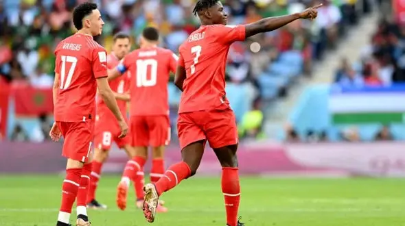 جام جهانی 2022 قطر/ برد شیرین و یک گله سوئیس مقابل شیرهای رام نشدنی