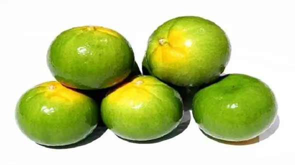 این نارنگی ها را نخرید و هرگز نخورید