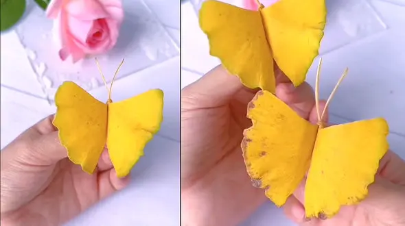 پروانه های برگی چطور ساخته می شود؟ + فیلم