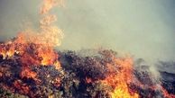 آتش سوزی مراتع، ایران را به گورستان گیاهان دارویی تبدیل کرده است / کدام گیاهان دارویی بیشتر در معرض خطر انقراض قرار دارند؟