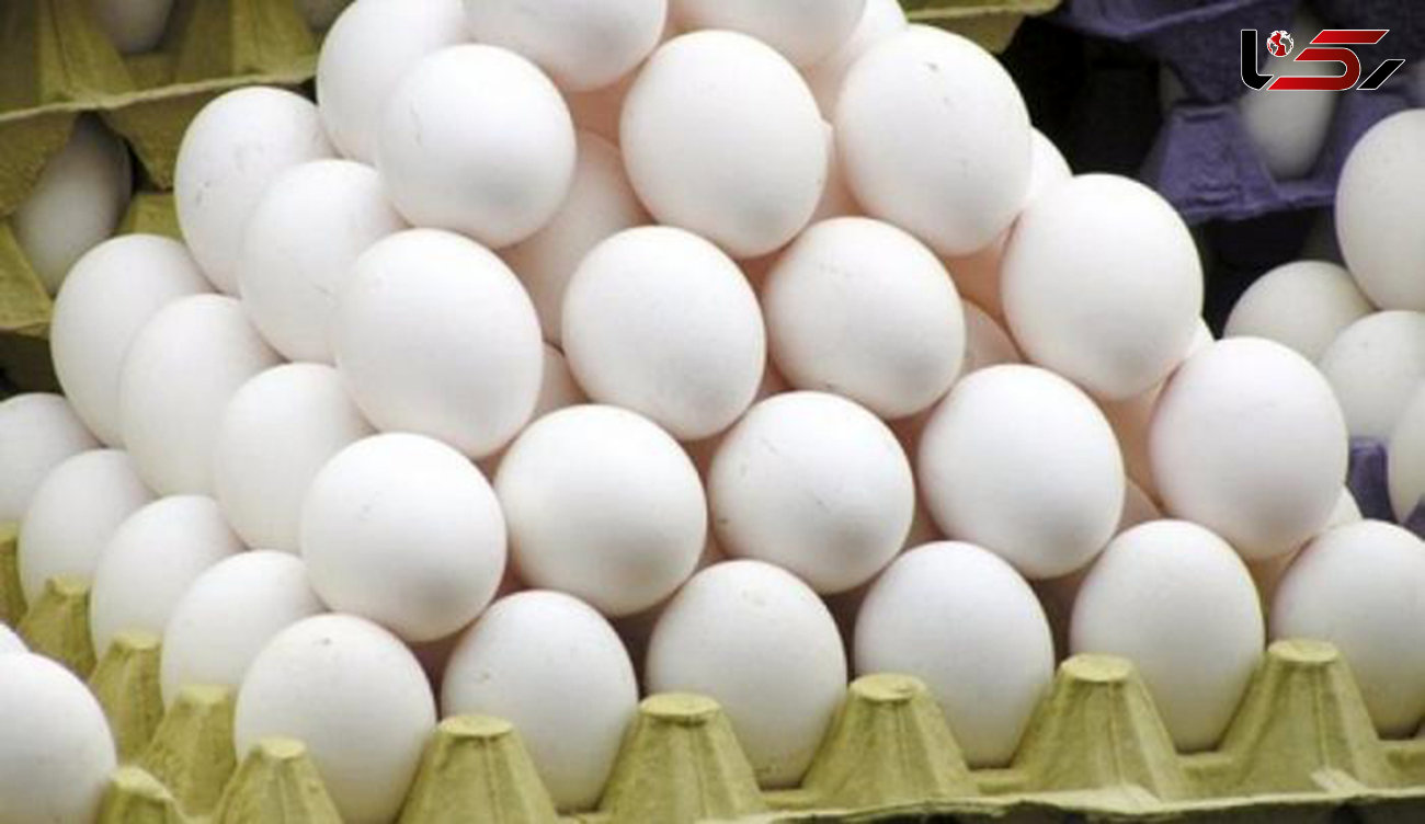 کشف 4 تن تخم مرغ فاقد مجوز در بوانات