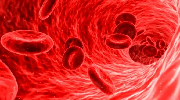 چگونگی تشخیص علائم اولیه کم خونی و درمان‌های مؤثر