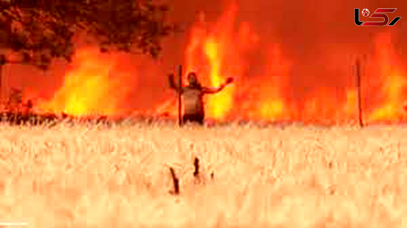 فیلم فرار مرد از دل آتش مرگبار جنگل!/ با لباس سوخته می دوید! 