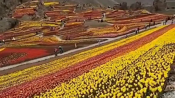 روستای رنگی و گلباران در البرز + فیلم