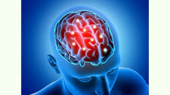 تاثیر فصل ها بر عملکرد مغز و شخصیت افراد 