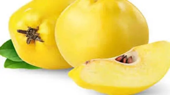 این میوه پاییزی سیستم ایمنی‌تان را قوی می‌کند