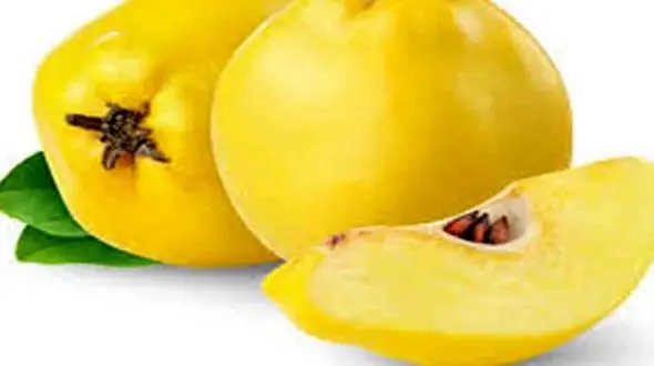 این میوه پاییزی سیستم ایمنی‌تان را قوی می‌کند