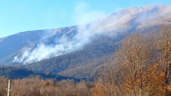 «درفک» طعمه آتش شد + عکس