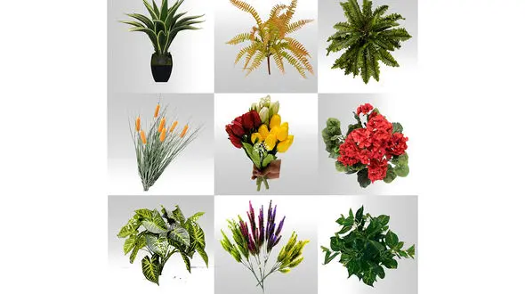 هر گل نماد چیست؟