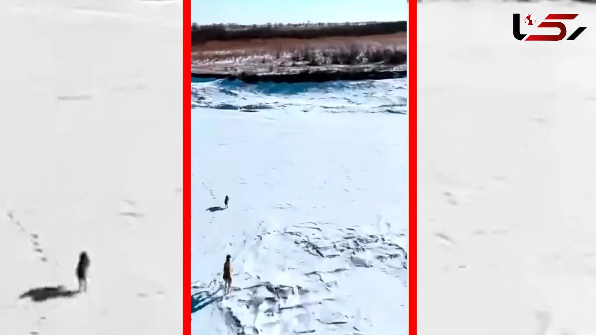 فیلم فرار خارق العاده خرگوش از محاصره سگ ها