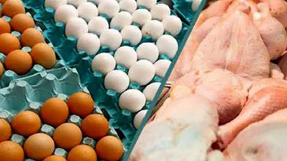  قیمت مرغ و تخم مرغ در بازار به ثبات رسید !