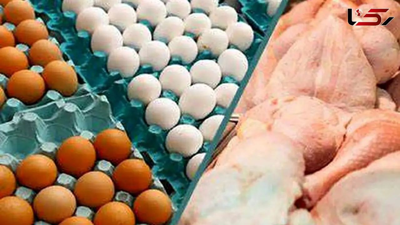  قیمت مرغ و تخم مرغ در بازار به ثبات رسید !