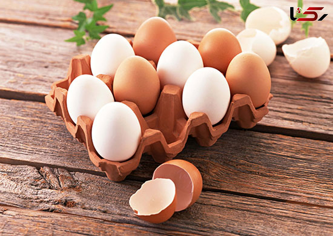 یک تخم مرغ در روز برای هر انسان سالم