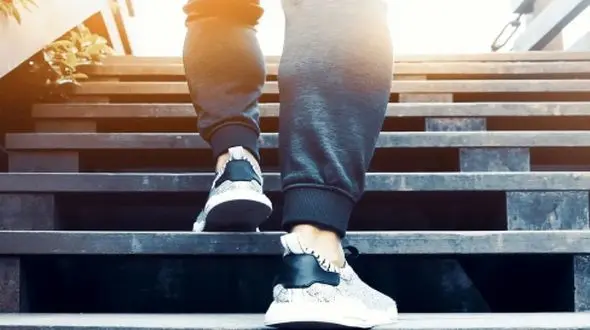 تاثیر شگفت‌ انگیز بالا رفتن از پله‌ ها بر سلامت مغز