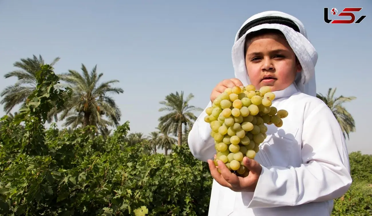 اشتغال‌زایی در روستاها با راه‌اندازی تعاونی‌های گردشگری در خوزستان