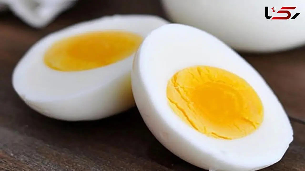 ارتباط بین کلسترول با خوردن تخم مرغ 